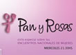 Pan y Rosas: Ciclo especial de programas sobre los encuentros nacionales de mujeres