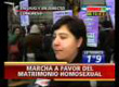 Crónica TV: Pan y Rosas frente al Congreso a favor del matrimonio igualitario